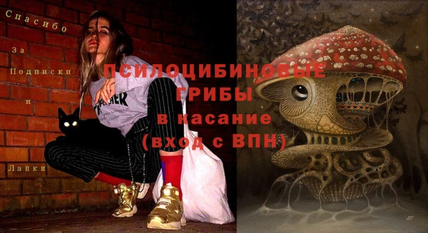 стафф Алексеевка