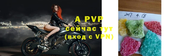 стафф Алексин