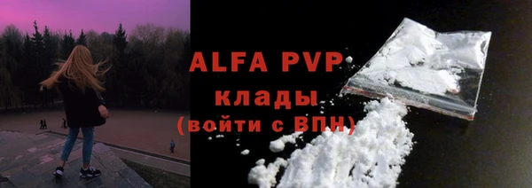 стафф Алексин