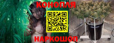 дмт Камышлов