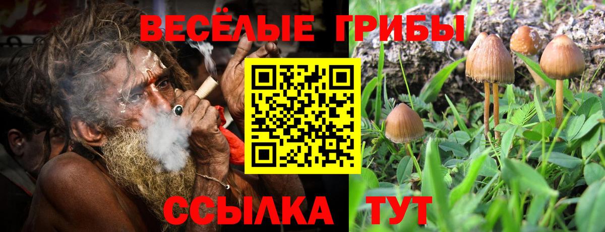 Псилоцибиновые грибы мухоморы  Галлюциногенные грибы мицелий  Вход с VPN  Лабытнанги 